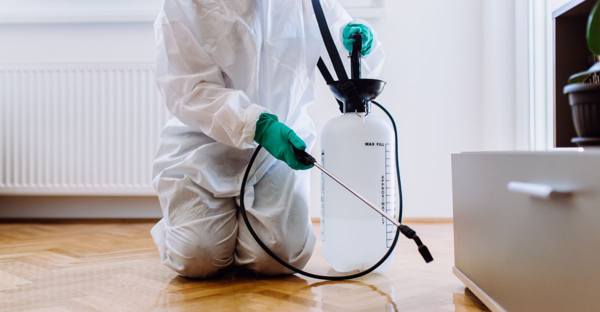 Best Pest Extermination Service
